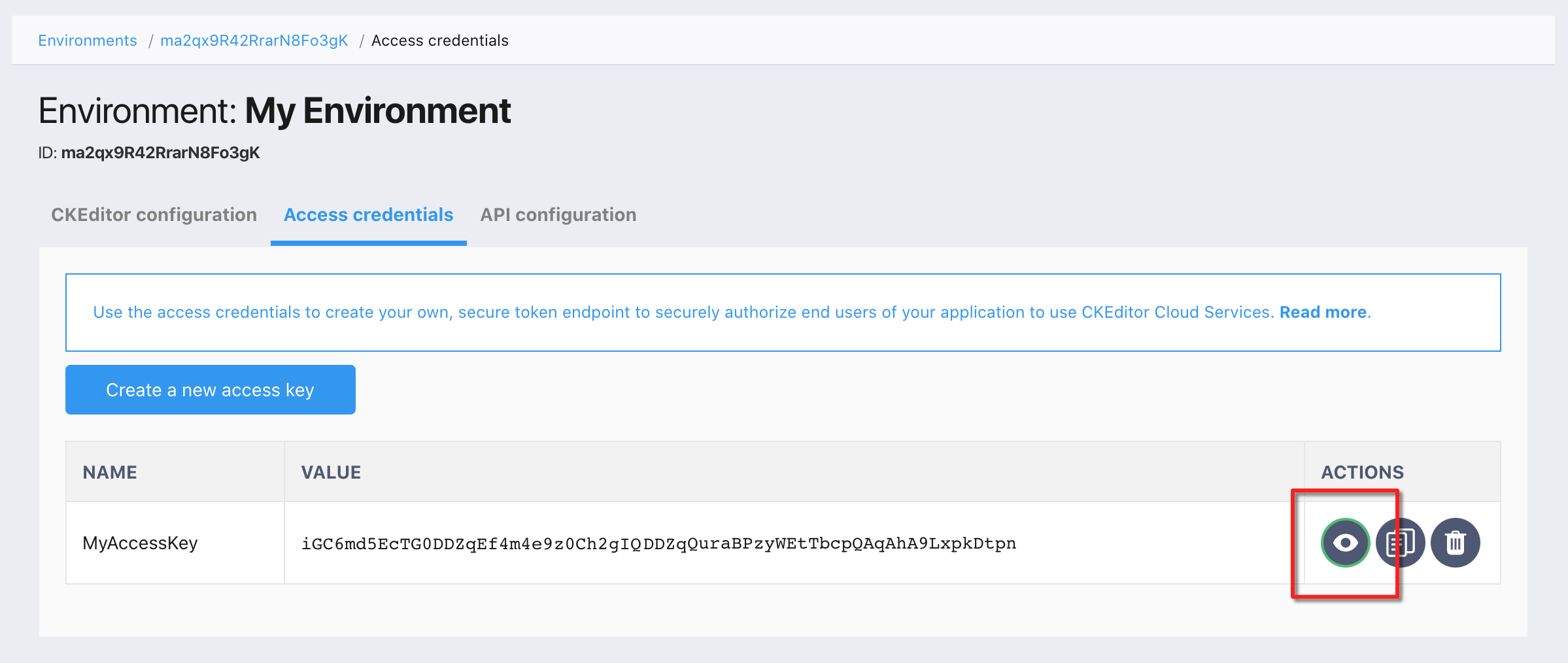 Access keys list with visible key.